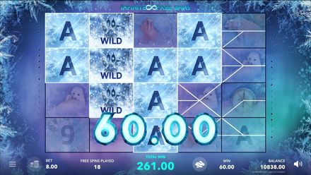 Expanding Wilds feature