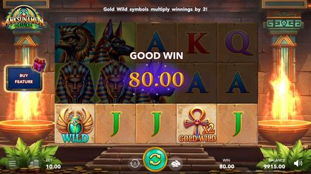 Gold Wild Symbol
